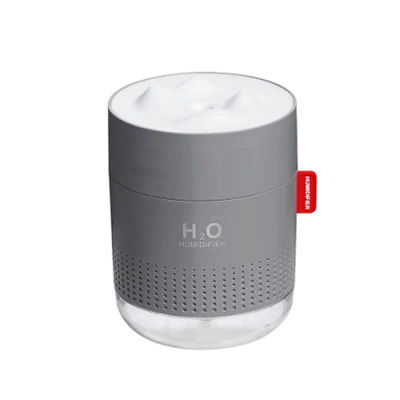 NO Conception de moules privés ABS PP Matériau de gel de silice Humidificateur pour la maison Portable et compact