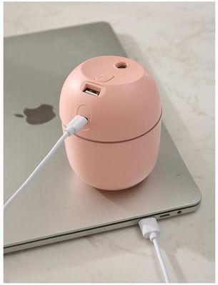 Autres fonctions Humidificateur à ultrasons H2o Mini Cup Spray Mist pour voiture Humidificateur d'air USB