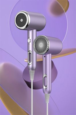Hôtel salon ménage sèche-cheveux haute vitesse Air Styler brosse à air chaud pour professionnel