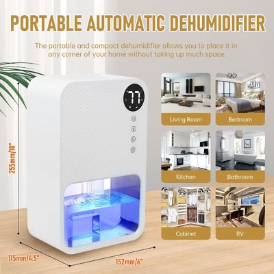 Déshumidificateur intelligent visible pour le séchage à l'épreuve de l'humidité et des chambres dans les petits espaces